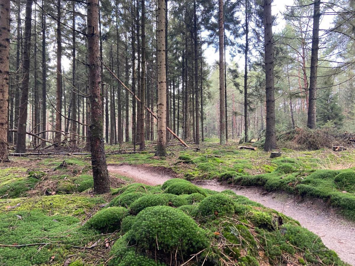 Natuurhuisje Pine&Oak 6 persoons Hardenberg Buitenkant foto