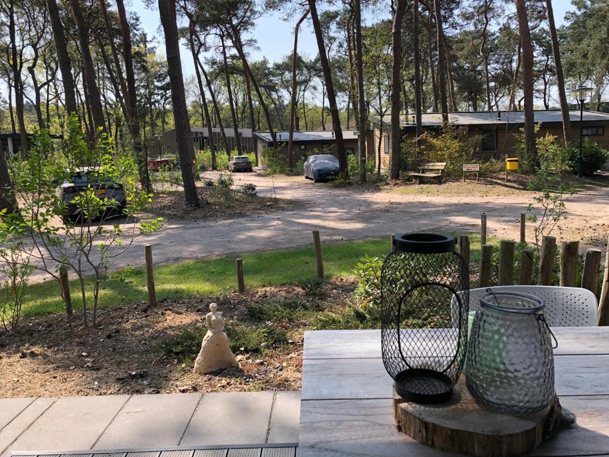 Natuurhuisje Pine&Oak 6 persoons Hardenberg Buitenkant foto